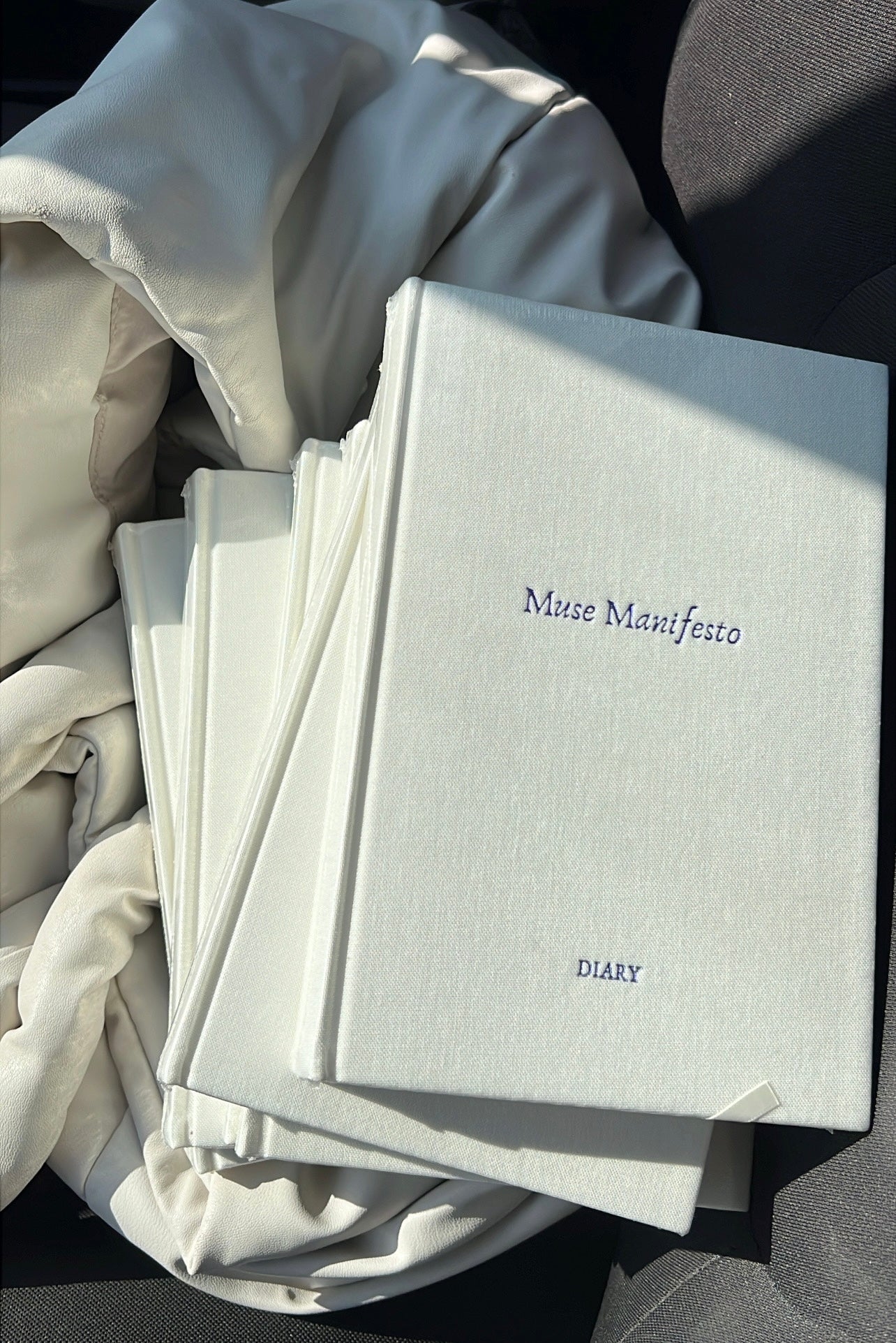 Muse Manifesto - Diary