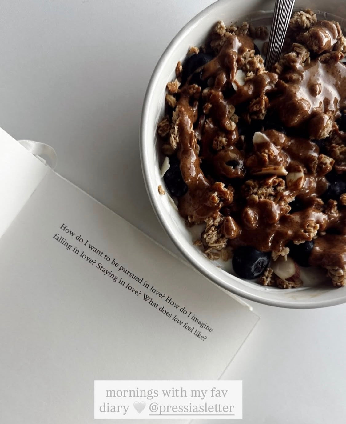 Muse Manifesto - Diary