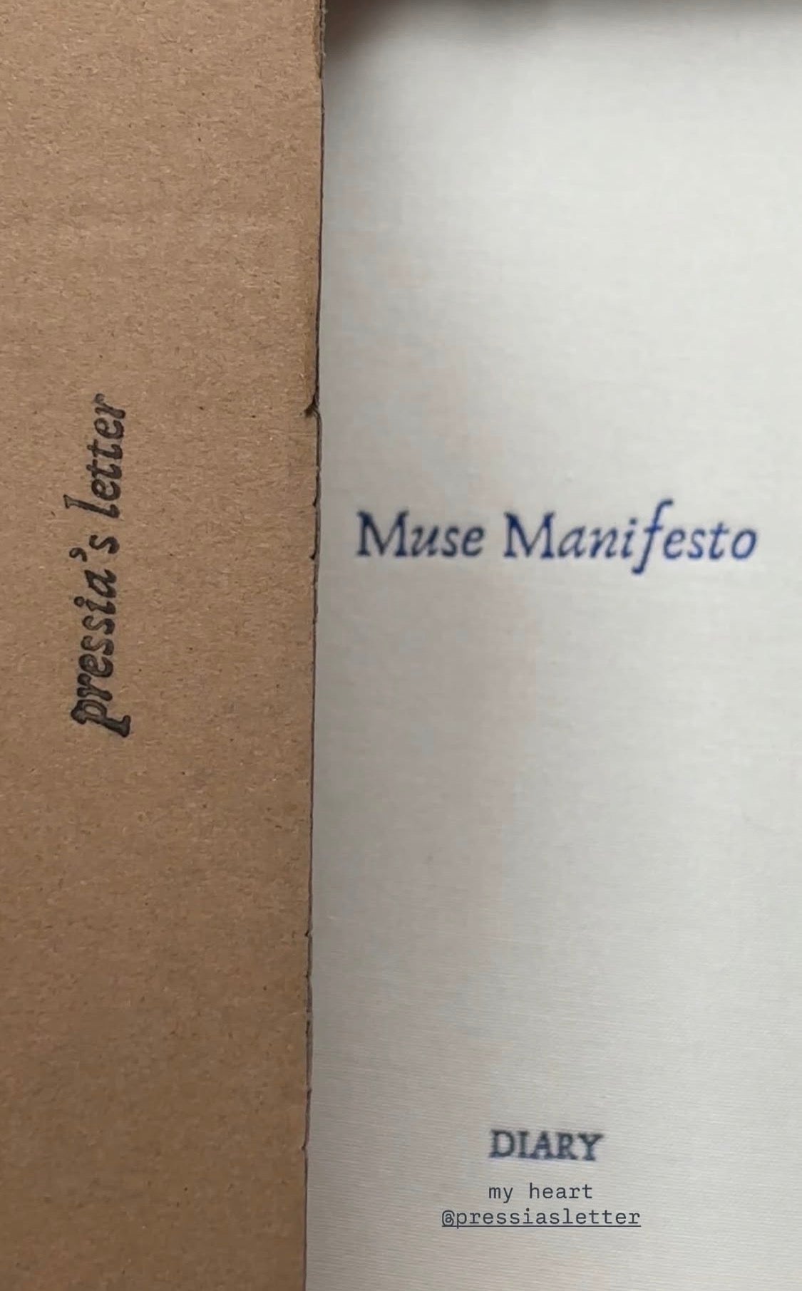 Muse Manifesto - Diary