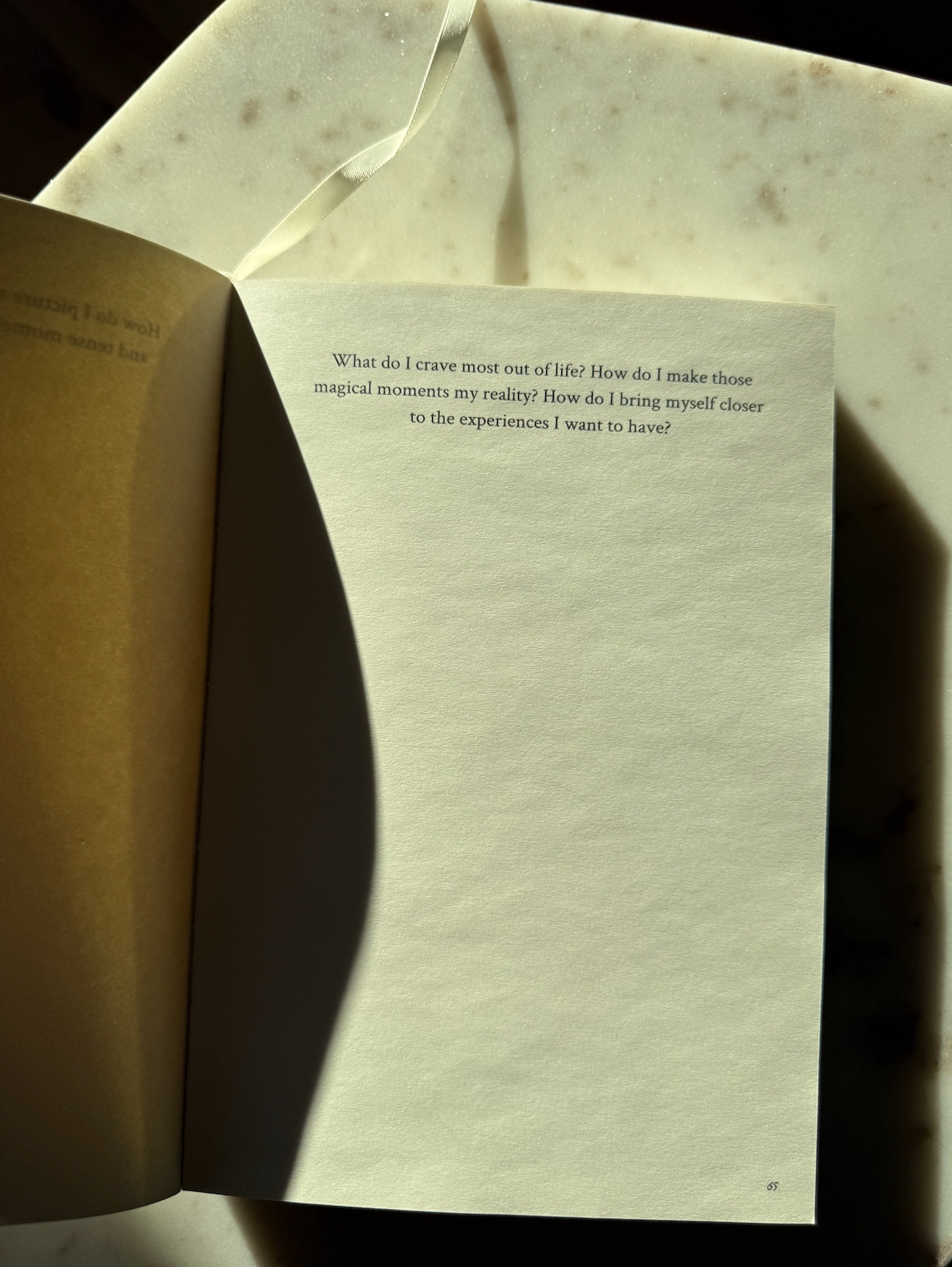 Muse Manifesto - Diary